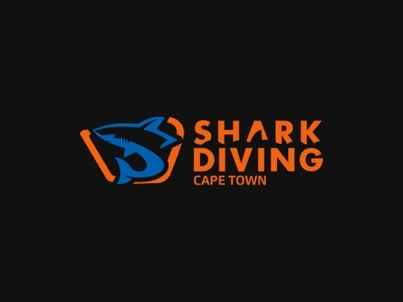 Shark Diving Cape Town