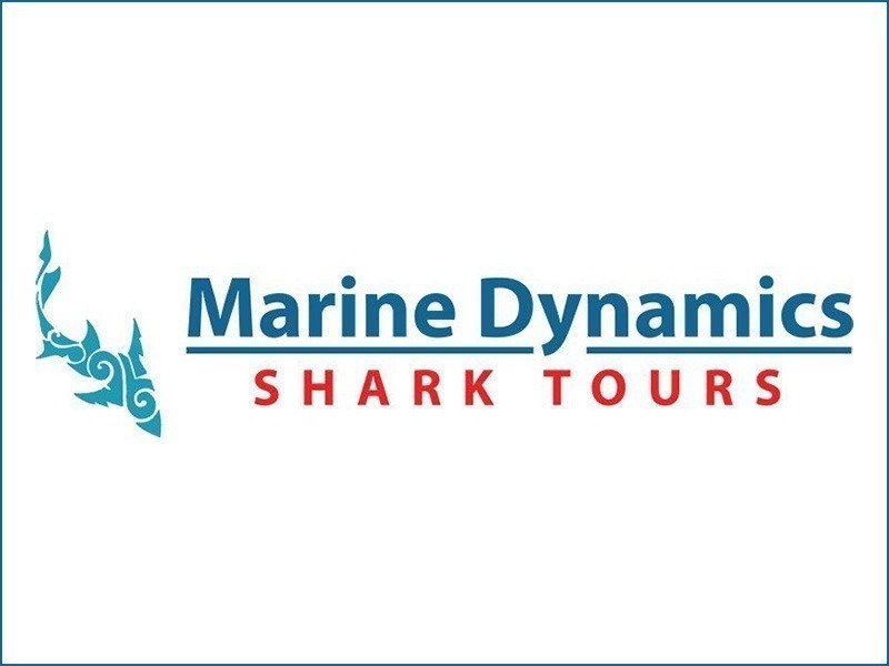 Marine Dynamics Shark Tours
