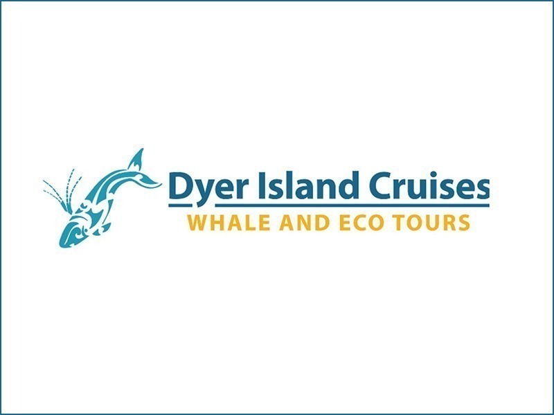 Dyer Island Cruises